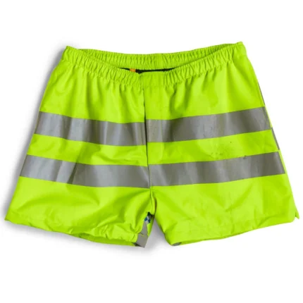Toxic Zuma Gallery Dept Shorts